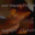 Swinger clubs